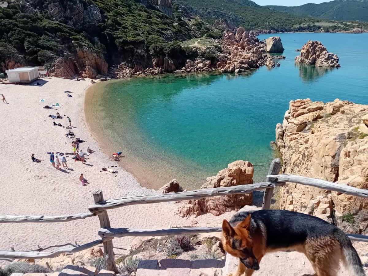 Villetta Monica Costa Paradiso Ngoại thất bức ảnh