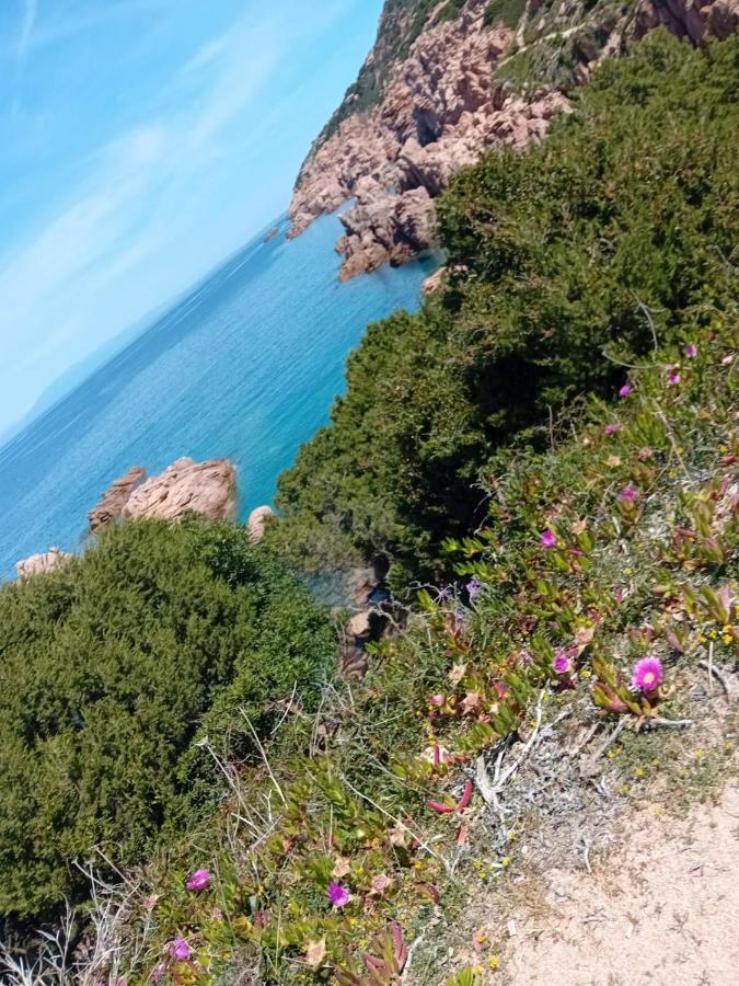 Villetta Monica Costa Paradiso Ngoại thất bức ảnh